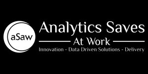 Analytics Saves at Works Private Limited